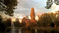 /album/fotos/wp-20161106-16-31-33-pro-small-jpg/